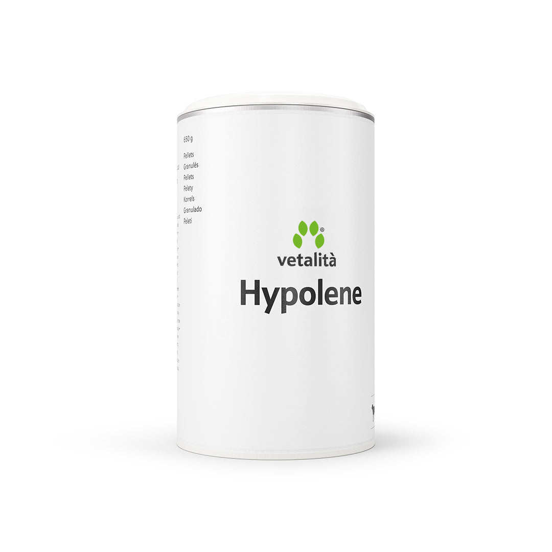 Hypolene pellet